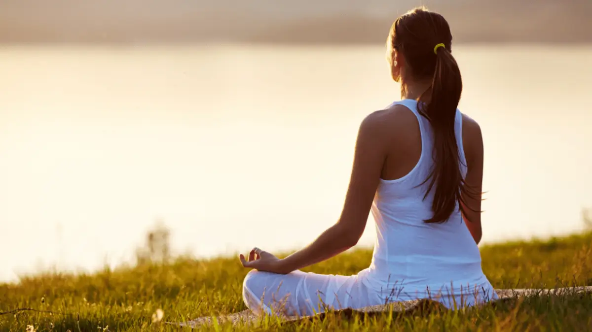 Nervous System 101: Why Regulation Matters for Healing
